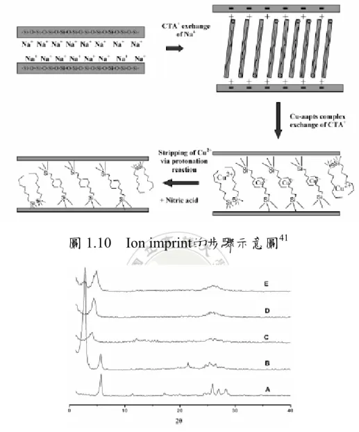 圖 1.10  Ion imprint的步驟示意圖 41
