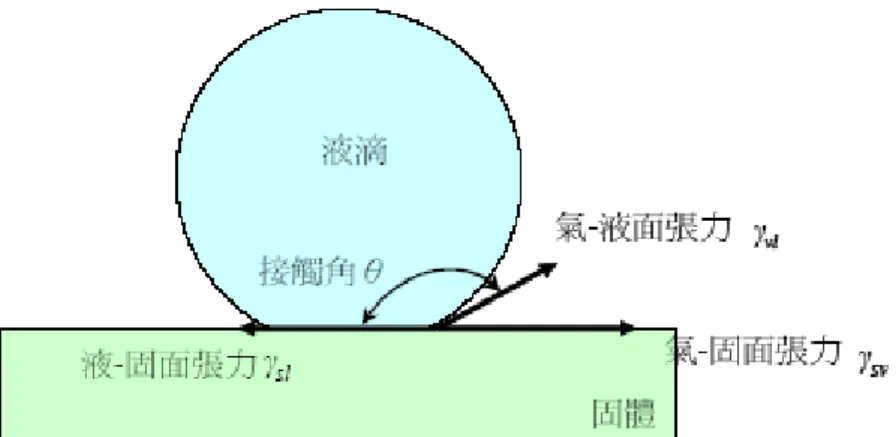 圖  4 Young’s equation model. 