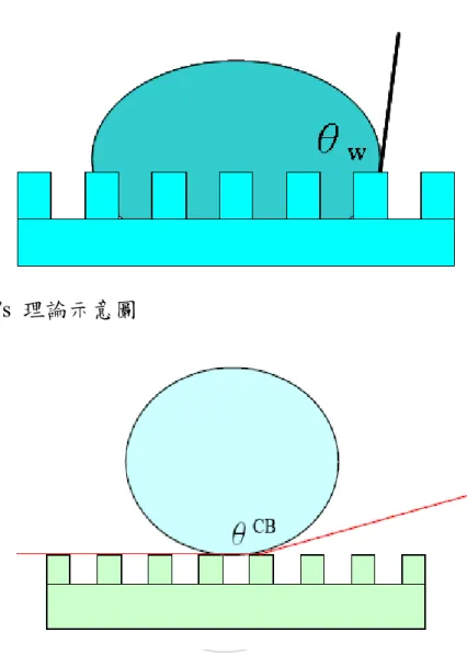 圖 5 Wenzel’s 理論示意圖 