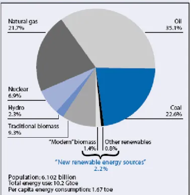圖 2.4  全球能源消耗類型分佈 (UNDP, 2004) 