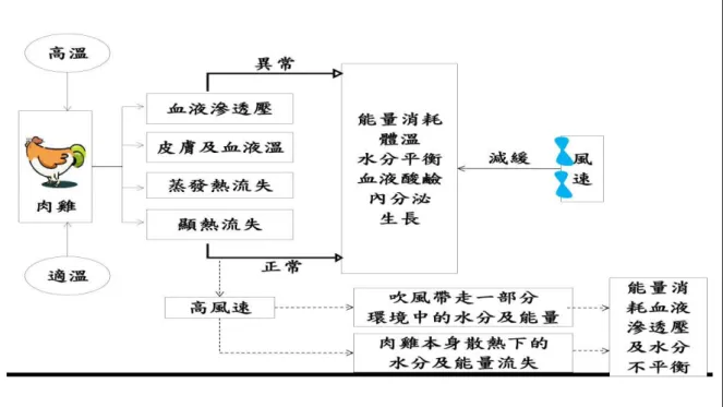 圖 2-2-2-1 風速對肉雞生理影響路徑圖。 