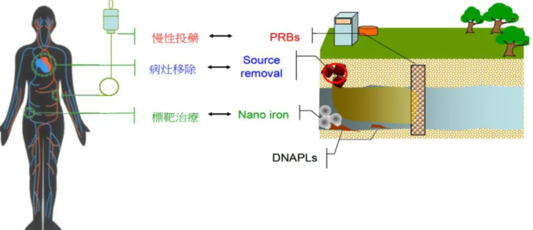 圖 1-1.  地下水整治技術與人體醫療間之關連性           