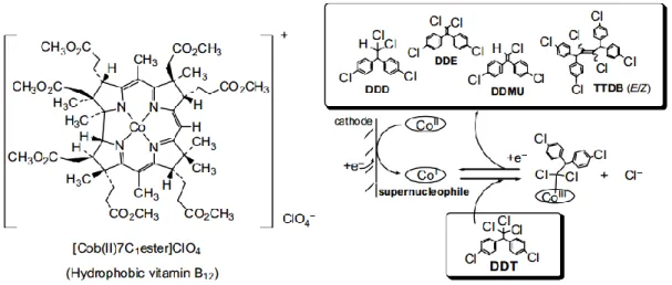 圖 2-11.  維生素 B 12   參與反應示意圖，Red  表還原劑，Ox  表氧化劑    (黃, 2009) 