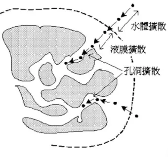 圖 2-13  溶質在活性碳表面擴散吸附路徑          活性碳除了當吸附劑，亦會用來作為載體，當運用於污水中的生物 處理，會將活性碳作為載體，讓生物膜生長於表面，達到去除的效果， 將此稱之為生物活性碳，生物活性碳(BAC)技術乃是結合活性碳吸附、生 物膜處理及活性碳生物再生等三重作用優點的廢水處理技術。採用與廢 水吸附特性相符的活性碳，利用活性碳吸附功能，增加污染物質於反應 槽的停留時間，同時促進微生物於活性碳表面形成生物膜，進一步將廢 水中吸附於活性碳顆粒上之殘留污染物質加以分解與再生，達到提升處
