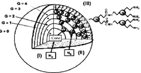 圖 2.3 Dendrimer 結構與參數計算示意圖 (Tomalia, 2005) 