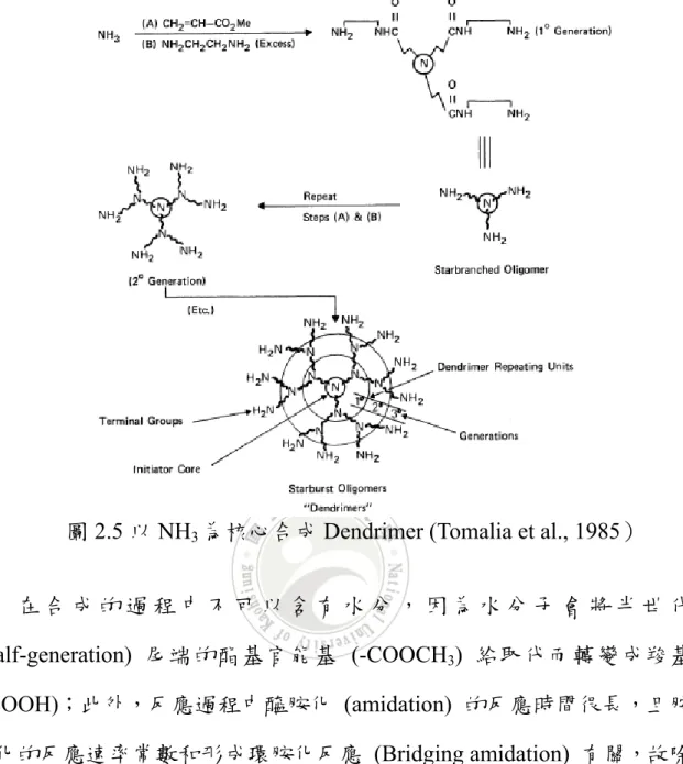 圖 2.5 以 NH 3 為核心合成 Dendrimer (Tomalia et al., 1985）          在 合 成 的 過 程 中 不 可 以 含 有 水 分 ， 因 為 水 分 子 會 將 半 世 代  (Half-generation)  尾端的酯基官能基 (-COOCH 3 )  給取代而轉變成羧基  (-COOH)；此外，反應過程中醯胺化 (amidation) 的反應時間很長，且胺 基化的反應速率常數和形成環胺化反應 (Bridging amidation) 有關，故除 了考慮所