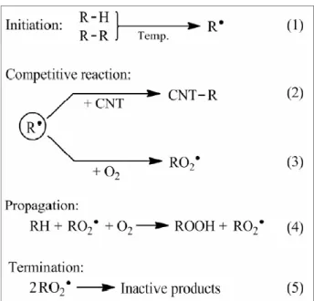圖 2-7 General scheme of polyolefin thermal oxidation in the presence of CNTs 