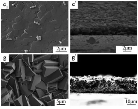 圖 2-4 MFI coating 於 AA6061 之 SEM 圖： 
