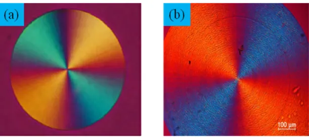 圖 2.6  高分子球晶使用彩色偏光板的光學示意圖。(a)負型球晶              (negative)，(b)  正型球晶(postive) [105] 。 