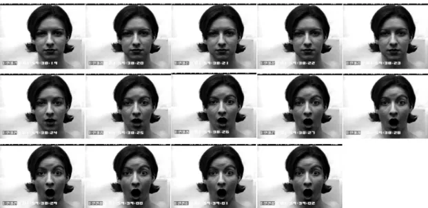 圖 4.1：CK 之序列影像，順序為左上至右下  由於有部分序列影像在完成各種表情前即結束，無法得到最終表情影像，因 此我們從資料庫 486 組序列影像中，選取其中包含 93 人的 1 至 6 種表情，共 320 組完整的序列影像。再將每一段影像中的第一張影像作為無表情影像、最後三張 作為表情影像，以此方式選出七種表情共 1280 張影像，其中各類表情之樣本數分 別為：320 張無表情、108 張憤怒、120 張厭惡、99 張恐懼、282 張高興、126 張 悲傷以及 225 張驚訝。圖 4.2 為 CK 