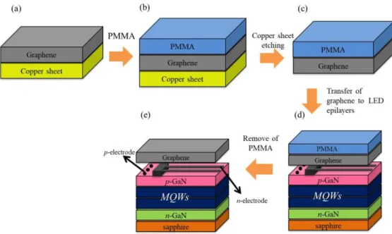 Figure  1.9  Fabrication  processes  of  the  InGaN/GaN  LEDs  with  the  graphene  transparent  conductive electrodes on the p-GaN layer：(a) Graphene was grown on a copper sheet by a  chemical  vapor deposition  (CVD)