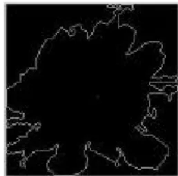 Figure 5  The resulting image from Fig. 4 after the  edge recording process. 