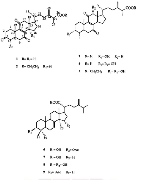 圖  1-4    1996 年 Yang 等人發現的 2 種以 ergostane 為骨架的新化合物，分別是 Zhankuic acid D(2)和 Zhankuic acid E(5)，以及發現 3 種以 lanostane(6~8)為骨架的 新化合物  37 。 