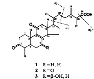 圖 1-5    1995 年 Cherng  從樟芝子實體用甲醇萃取出，以 ergostane 為骨架的新三 萜類化合物 antcin A(1)，antcin B(2)，antcin C(3)  39 。 