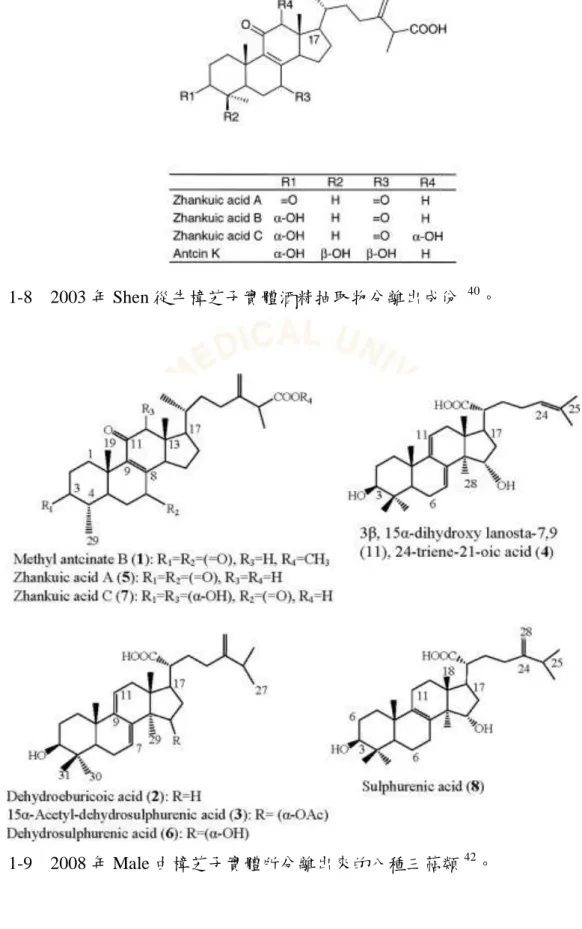 圖  1-9    2008 年 Male 由樟芝子實體所分離出來的八種三萜類 42 。 