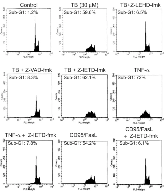 Figure 7. Control TB (30 µM) Sub-G1: 1.2% Sub-G1: 59.6% TB + Z-VAD-fmk TB + Z-IETD-fmk Sub-G1: 8.3% Sub-G1: 62.1%  TB+Z-LEHD-fmkSub-G1: 6.5% TNF-α