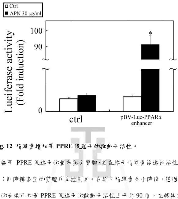 Fig. 12  脂締素增加 脂締素增加 脂締素增加帶 脂締素增加 帶 帶 PPRE 促進子 帶 促進子的啟動子 促進子 促進子 的啟動子 的啟動子 的啟動子活性 活性 活性 活性。 。 。 。  轉染帶  PPRE 促進子的螢光蛋白質體，並在給予脂締素後進行活性測 試；同時轉染空的質體作為控制組。在給予脂締素 6 小時後，透過螢 光的表現可知帶 PPRE 促進子的啟動子活性上升約 90 倍。在轉染空 質體的組別中，加藥後則沒有明顯變化。  (*, P < 0.05 versus ctrl) 