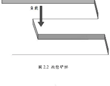圖 2.2  微懸臂樑 