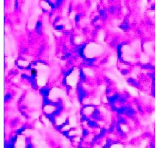 Fig. 5. AFM image of silicon oxide surface modified by alkoxyl  silane coupling agent