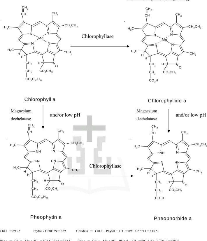 Figure 10: The related metabolites of chlorophyll a 