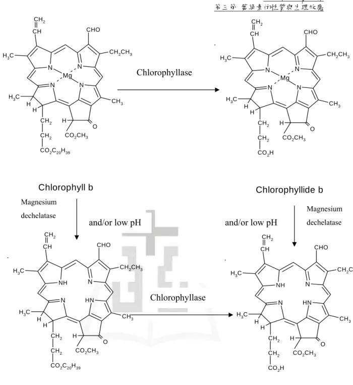 Figure 11: The related metabolites of chlorophyll b 
