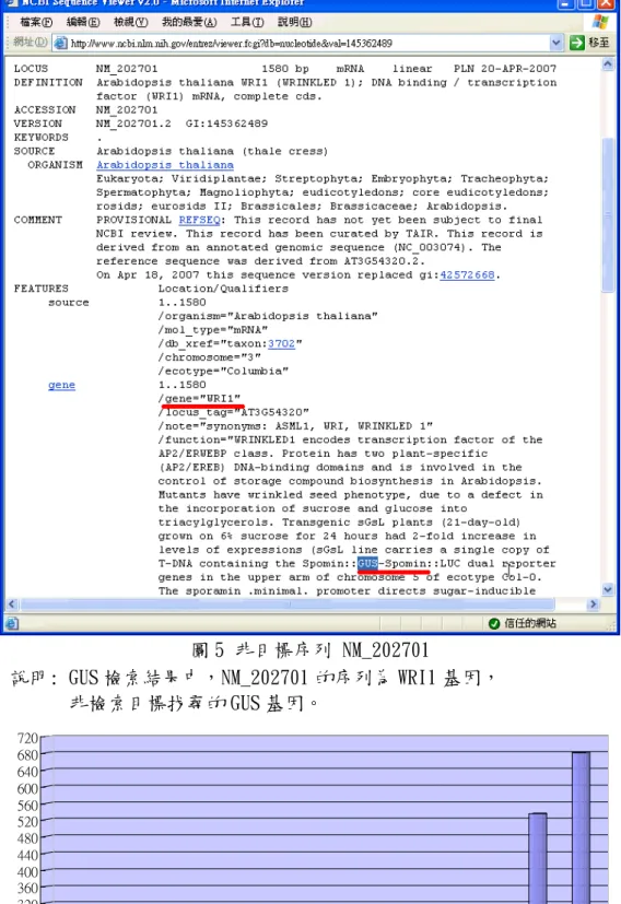圖 5 非目標序列 NM_202701 說明: GUS 檢索結果中，NM_202701 的序列為 WRI1 基因， 非檢索目標找尋的 GUS 基因。 04080120160200240280320360400440480520560600640680720 1995年 1996年 1997年 1998年 1999年 2000年 2001年 2002年 2003年 2004年 2005年 2006年 2007年 圖 6 NCBI 的 accd 序列資料歷年累計成長筆數