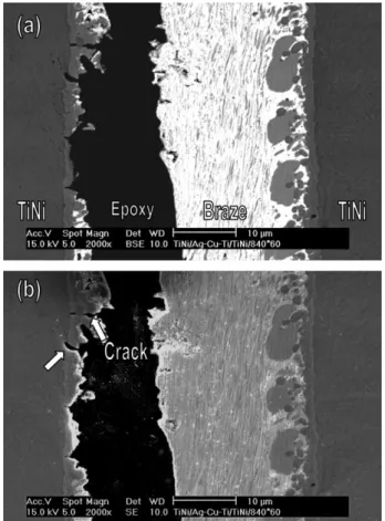 Fig. 10. Cross-section of shear test specimens of w Ti 50 Ni 50 /Cusil-ABA w /Ti 50-