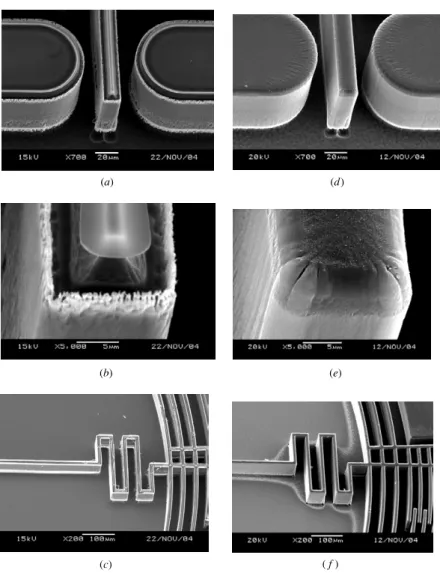 Figure 4. SEM pictures which show the top of the structures after the floor polymer removal step
