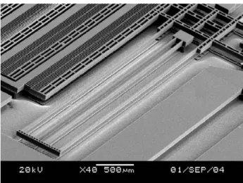 Figure 9. The long suspending folded beam with 2 mm length, 15 µm width and 120 µm thickness.