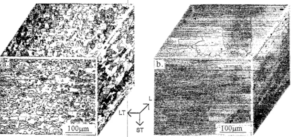 Fig.  1.  Three  dimensional  micrographs  showing  grain  structures  of  the  as-received  (a)  7475S  and  (b)  7475L  aluminum  alloy  plates