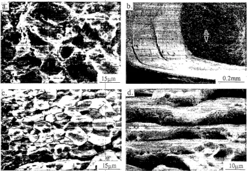 Fig.  7.  Scanning electron fractographs  of SSRT  specimen for  7475S-  T4  alloy,  tested  in  air