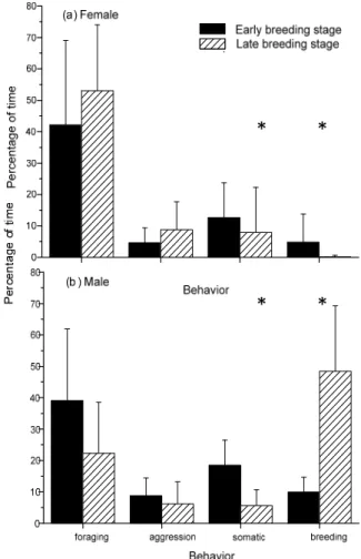 Fig. 1. Time budget of male and female Pheasant-tailed Jacanas at  different breeding stages: comparison between males and  females