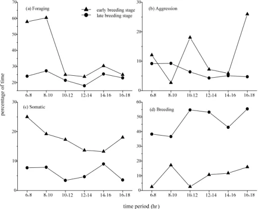 Fig. 3. Comparison of hourly activity pattern in female Pheasant-tailed Jacanas during early and late breeding stages