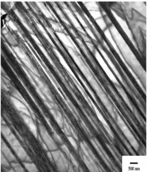 Figure 8    H.C. Lin et al. 