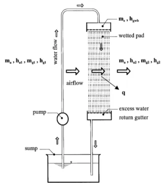 Fig. 3. Pathway of heat and mass transfer of moist air in a test pad with a water circulation system.