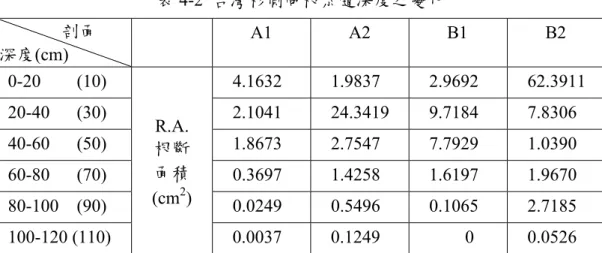表 4-2  台灣杉側向根系隨深度之變化               剖面 深度 (cm)          A1          A2          B1          B2   0-20    (10)    4.1632    1.9837    2.9692    62.3911   20-40   (30)    2.1041    24.3419    9.7184    7.8306   40-60   (50)    1.8673    2.7547    7.7929    1.