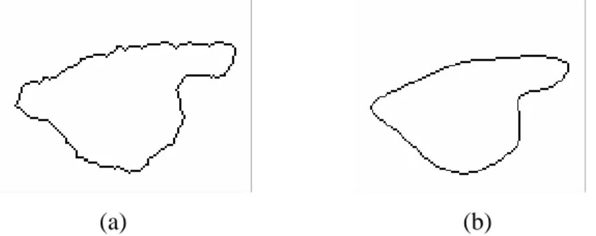 圖 V-C-10：Cubic B-Spline 平滑化圖例，(a)為原始腫瘤邊緣，(b)經由 Cubic B-Spline 平滑後之腫 瘤邊緣。 