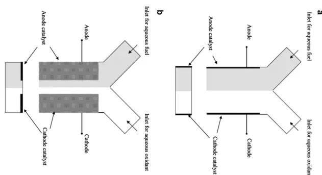 Fig. 2. Schematic illustration of the present Y -shaped micro ﬂ uidic react or design,whosecatalystisusedtocatalyzetheH2O2decompositiontoimitatethe bubblegenerationatoneelectrodeofthemembranelessmicroﬂuidicfuelcell