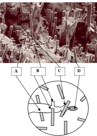Fig. 3  Fracture mechanisms on a microphotograph of a fracture surface of a specimen at 20 0 C   A.ber fracture