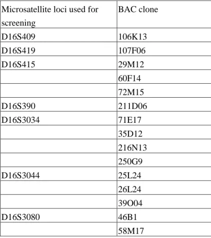 Table 1. Summary of the results of BAC clones by screening human BAC library