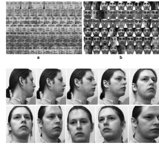 Fig. 6 Example face images of face databases used in our experiments. a Example cropped face images from the ORL face database in our experiments (cropped to the size of 48 9 48 to extract the facial region)