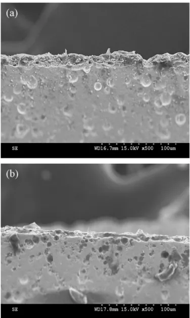 Fig. 7. Cross-sectional SEM micrographs of the WEDMed Ti 35.5 Ni 49.5 Zr 15 alloy with a pulse duration of (a) 1 and (b) 5 m s.