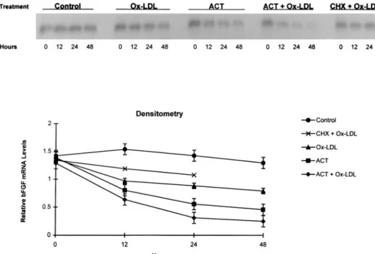 Figure 7. Effects of LDL preparations on intracellular bFGF concentration (24-hour incubations)