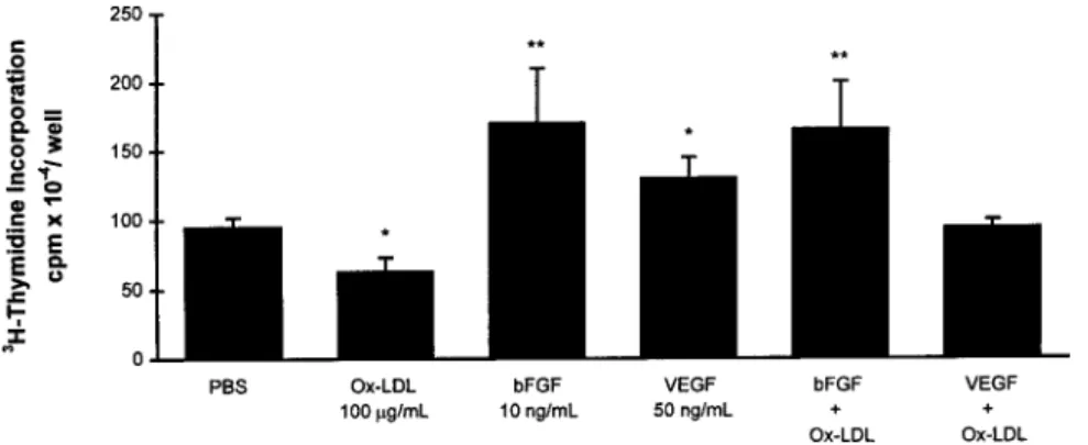 Figure 9. Effects of ox-LDL, bFGF, and VEGF-165, alone or in combination, and of bFGF-neutralizing antibody (bFGF-Ab) on total RNA synthesis (24-hour  incuba-tions)