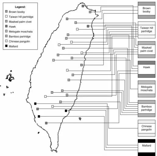 Figure 12: The distribution of some animals in Taiwan, which is represented by one-side many-to-one labeling with type-opo leaders.