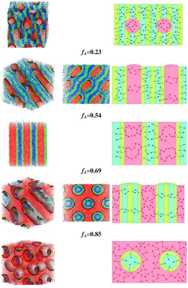 Fig. 9.    Morphology variation and corresponding molecular arrangements of A 2 -star-(B-alt-C)  copolymers (N =13) with f A  when a AB  = a AC  = 100 and a BC  = 120