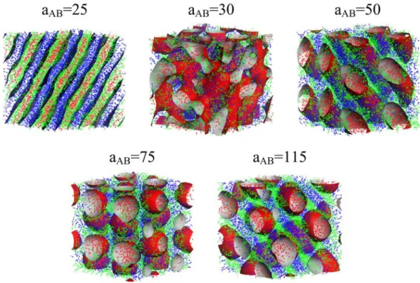Fig. 12.    Morphology variation of A-block-(B-graft-C) molecules with a AB  when N=10, f A =0.2  and a AC  = a BC  = 70