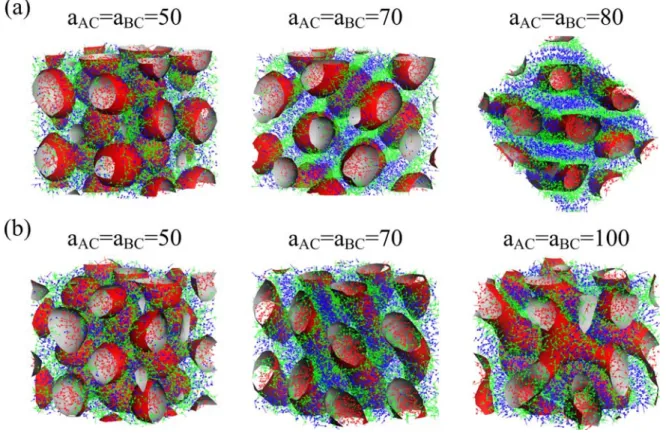 Fig. 13.    Morphology variation of A-block-(B-graft-C) molecules with a AC  = a BC  when N=10,  f A =0.2 and a AB  equal to (a) 100 and (b) 50, respectively