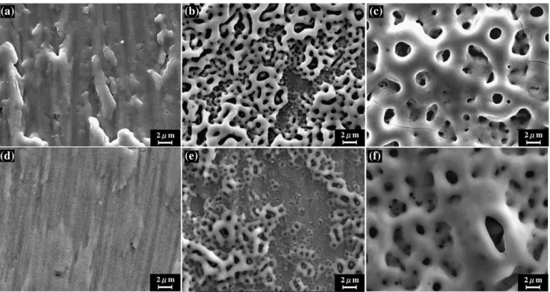 Fig. 3. XRD patterns of the AOF on (a)Ti-Nb and (b)c. p. Ti.
