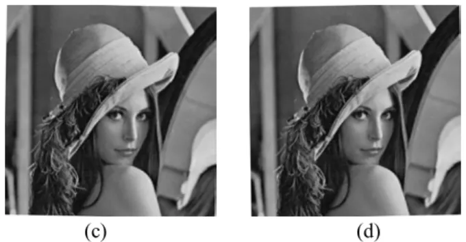 Figure 15.  The rotated watermarked images. (a) Rotation by  0.5o in the clockwise direction